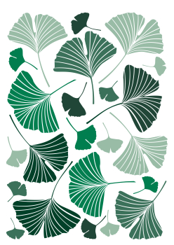 Motivtransfer, Bügelmotiv in A4 - Ginkgo Blätter - BTR-008